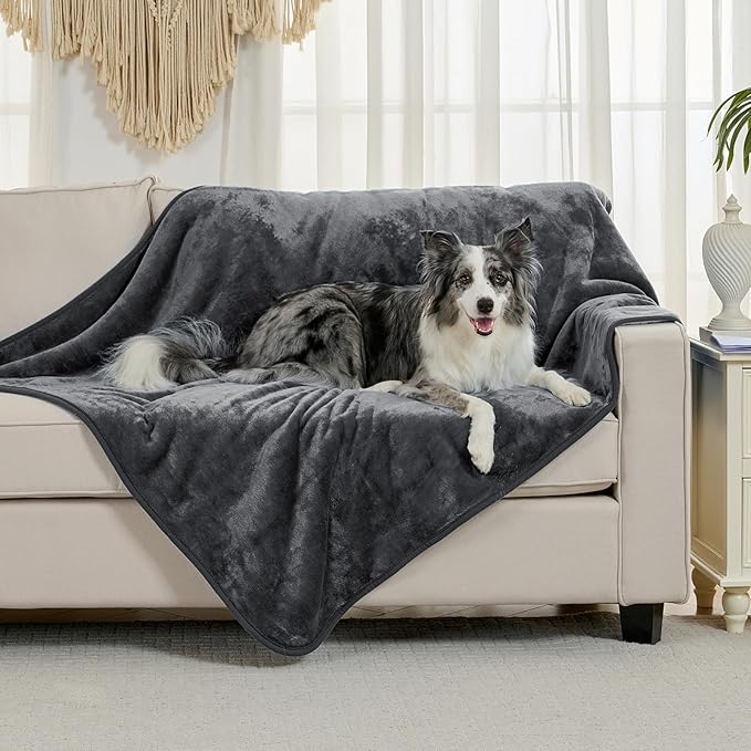 Waterproof Blanket for Bed Couch Sofa, Soft Liquid Pee Proof Pet Blanket for Dog Puppy Cat, Reversible Sherpa Fleece Furniture Protector (Dark Grey, 50x60 inches)