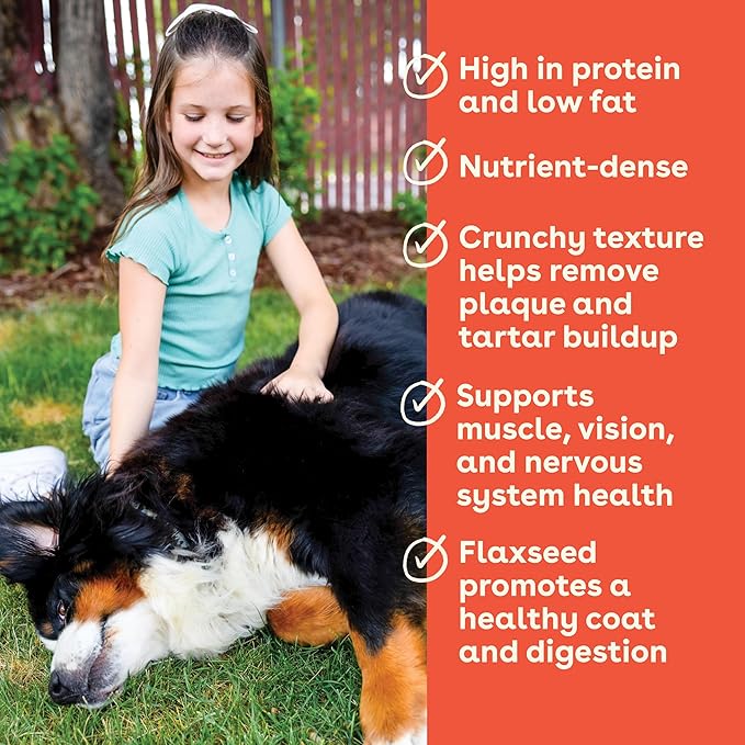 Pupford Crunchies, All-Natural, Healthy, Freeze Dried Treat for Dogs & Puppies (Chicken & Sweet Potato, 5 oz)