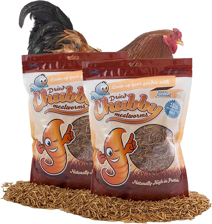 Chubby Dried Mealworms High-Protein Non-GMO Treats for Chickens, Ducks, Wild Birds & Backyard Pets