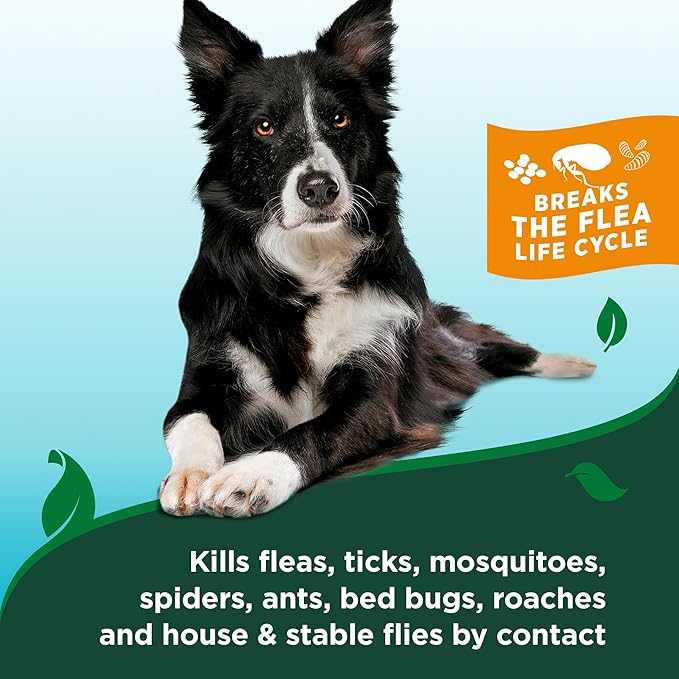 Vet's Best Natural Indoor Flea and Tick Spray – Dog Flea and Tick Treatment for Home, Plant-Based Formula with Natural Oils, Kills Fleas, Eggs & Ticks on Contact, USA Made, Cotton Spice, 32 oz, 2-Pack