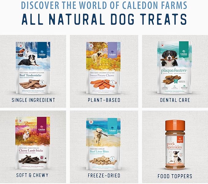 Caledon Farms Freeze Dried Dog Treats - Salmon 3.2OZ