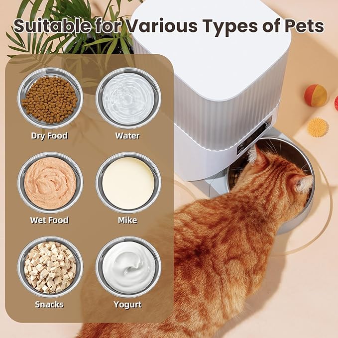 6Pcs Stainless Steel Pet Feeding Bowls, 6.1 Inches Shallow Wide Flat Cat Food Bowls, Puppy and Kitten Feeding Bowls, Whisker Fatigue Relief, Fits Elevated Bowl Stands