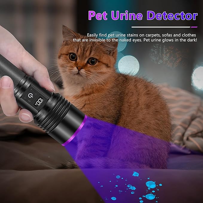 WINDFIRE 365nm UV Flashlight, Rechargeable Blacklight Flashlights with LCD Display, Powerful Black Light for Pet Urine Detection, Scorpions, Resin Curing, Blood Tracking, Uranium Glass, AC Leak