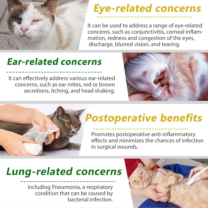 Antibiotics for Cats, Natural Antibiotic Pet Supplements Supports Immune & Cats Allergy Relief, Cat Multivitamin UTI Drops for All Ages & Breeds of Cat, Chicken Flavour - 2 Fl Oz / 1 Pack