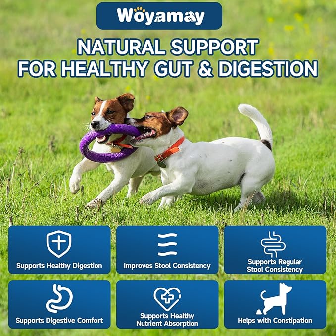 Cat Allergy Relief Chews & Dog Probiotic Bundle, 500 Crunchy & Creamy Anti-Itch Chews for Cats + 200 Soft Probiotic Treats for Dogs | Supports Itchy Skin, Immunity & Digestive Health, Chicken Flavor