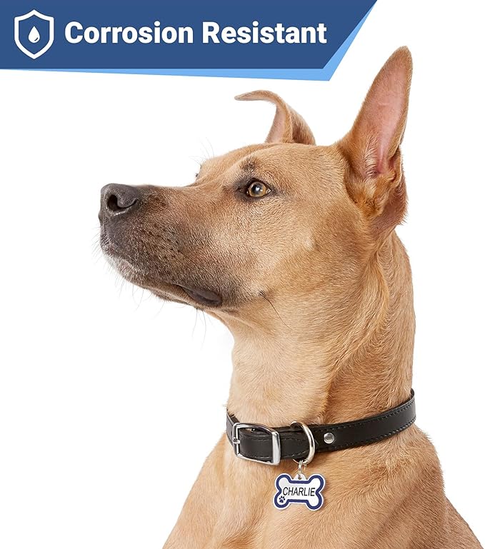 GoTags Stainless Steel Pet ID Bone Round and Heart Shaped Tags with Enamel Paw Design, Personalized Dog and Cat Tags, up to 5 Lines of Custom Text, Engraved on Both Sides (Navy Blue, Regular Bone)