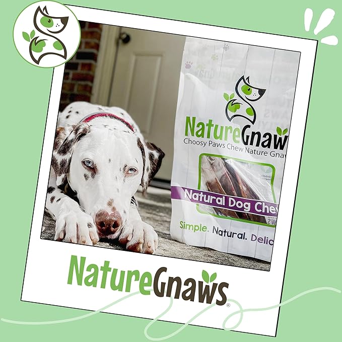 Nature Gnaws Beef Gullet Chews for Large Dogs 9-10" (20 Count) - Natural Beef Jerky Stick Dog Chew Treats - Rawhide Free