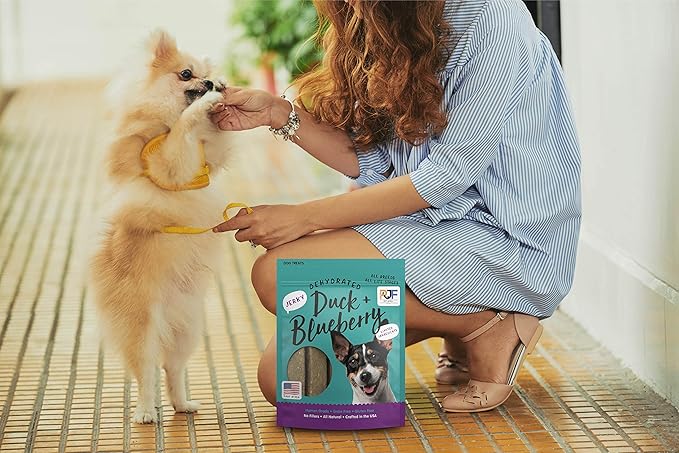 PET JERKY FACTORY Premium Duck and Blueberry 12 oz. Dog Jerky Treats|100% Human Grade | USA Made-| High Protein-| Grain Free-| Limited Ingredients-| No Filler-| BHA-BHT Free-| Soft-Tender,(Pack of 2)