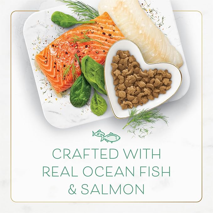 Fancy Feast Purina Dry Cat Food with Ocean Fish and Salmon - 16 oz. Bags,(Pack of 8)