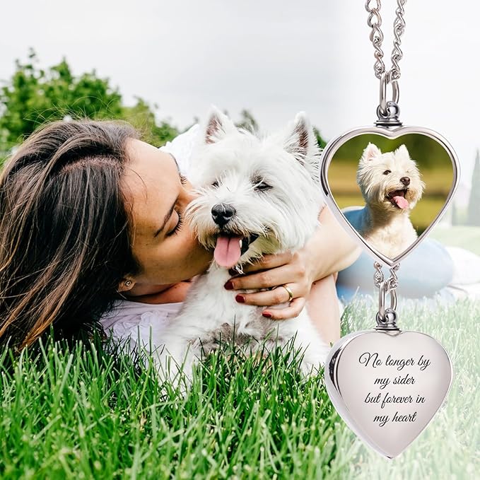 HJX Custom Dog Urn Necklaces for Ashes - Personalized Pet Cremation Jewelry for Ashes,Double-Sided Custom with Text Picture Memorial Gift for Pet Dogs Cats Ashes Necklace (Heart-1)