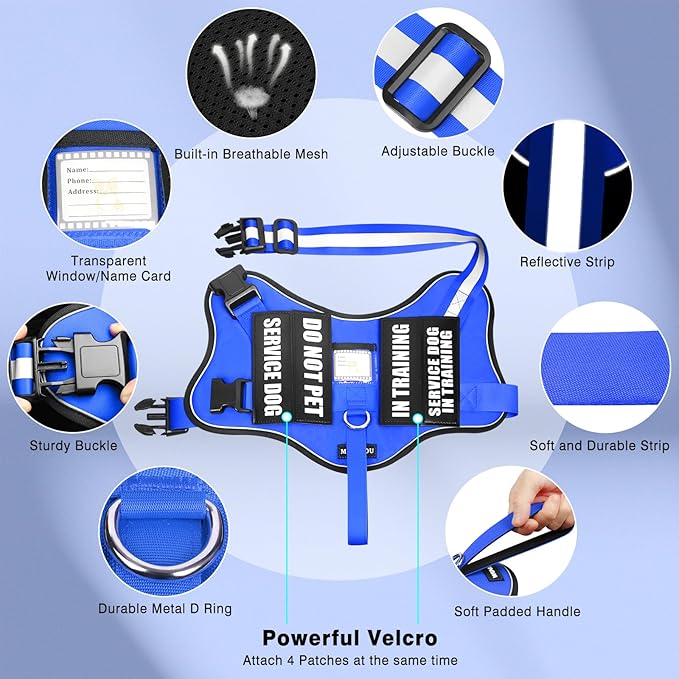 Service Dog Vest Harness and Leash Set+10 Patches,No Pull&Easy Walk Reflective Dog Harness with Soft Padded Handle for Training/Everyday,Fit Small/Medium/Large/Extra-Large Dogs (Blue XL)