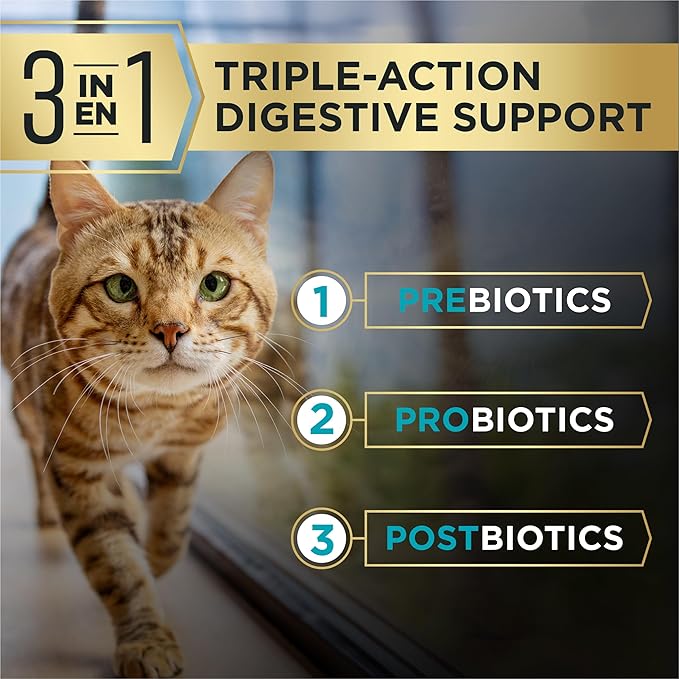 Purina Pro Plan AdvantEDGE Digestive Support Plus Adult Salmon and Rice Formula Dry Cat Food - 5 lb. Bag