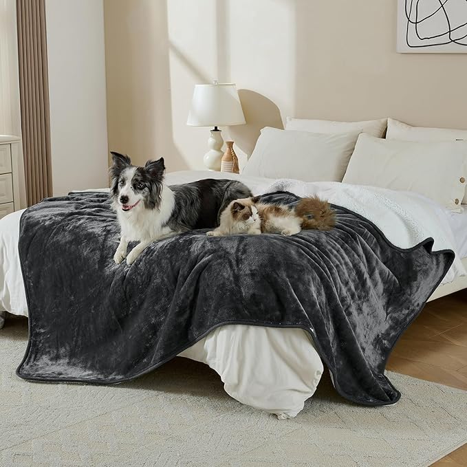 Waterproof Blanket for Bed Couch Sofa, Soft Liquid Pee Proof Pet Blanket for Dog Puppy Cat, Reversible Sherpa Fleece Furniture Protector (Dark Grey, 60x80 inches)