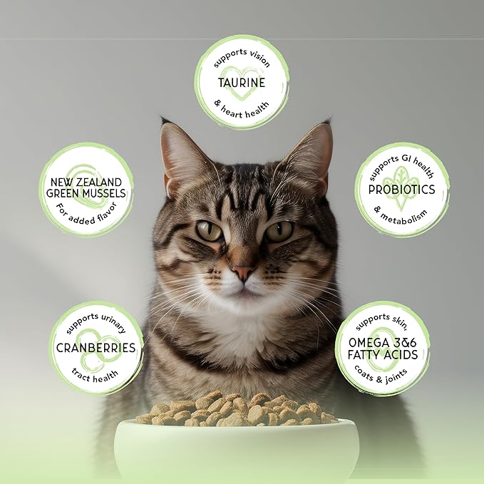 Blackwood Bounty Dry Cat Food, Whitefish & Lentil Recipe for All Life Stages, 2 Pound Bag, High Protein, Grain Free