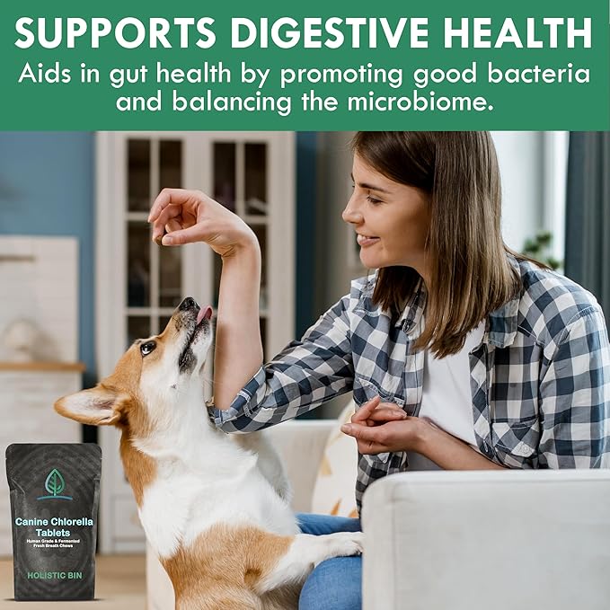 Holistic Bin Canine Fermented Chlorella Tablets | Plant-Based Supplements for Pets | Nutrient-Rich Dog Meal Toppers | Breath Freshener Treats Packed with Chlorophyll | Chlorella Tablets (100 Pieces)