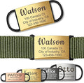 Anavia Slide On Silent Pet ID Tags, S/M/L/XL Personalized Stainless Steel Cat Dog Tag with Elastic Fabric Band, Engraved Nameplate Quiet Chew-Proof Pet Collar Tag (Gold, Large)