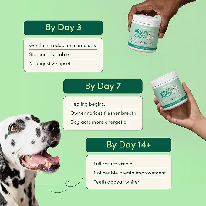Fifth & Fido Breath Buddy Dog Dental Powder for Fresher Breath & Cleaner Teeth, Cat & Dog Teeth Cleaning Powder, Removes Plaque, Gentle Formula for Sensitive Stomachs, Natural Ingredients, USA Made