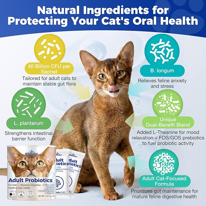 Cat Probiotics Gut – Constipation Relief – Supports Immunity, Regularity, & Healthy Digestion, 30-Day Supply (Adult Formula)