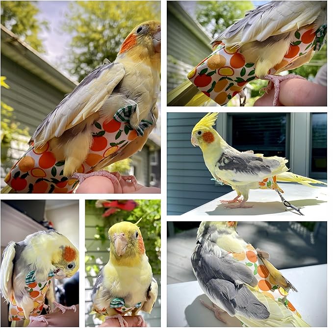 2 Pcs Bird Diapers Bird Harness Flight Suits Diapers with 80in Flying Leash Reusable Parrot Nappy with Waterproof Inner Layer for Cockatiel Budgie Conure Parakeet Lovebird-Watermelon&Orange