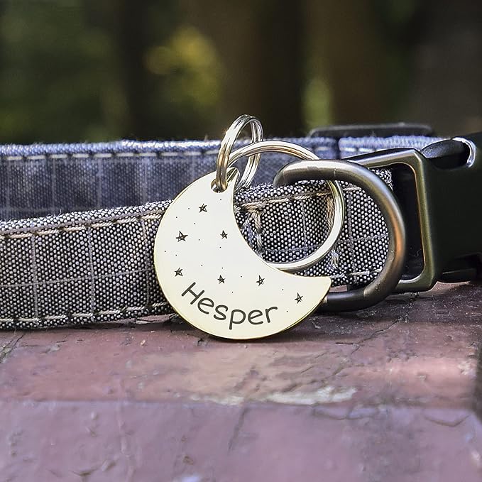 Anavia Small Size Dog Cat ID Tags, Small/XS Personalized Color Plated Stainless Steel Puppy Kitten Name Tags, Customized Engraved Nameplate Pet Collar Tag (Blue, Moon)
