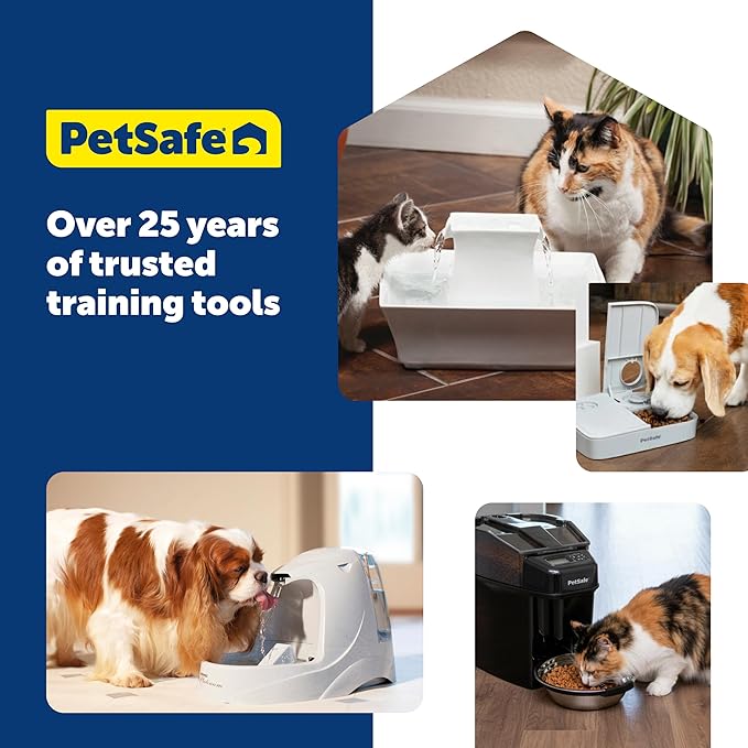 PetSafe Seaside Stainless Pet Fountain - Encourages Hydration - Dual Filtration Removes Odors - Compact Design - Rust Resistant Material - Quiet Motor -