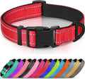 Joytale Reflective Dog Collar, Soft Neoprene Padded, Metal D-Ring, Nylon Pet Collar Adjustable for Small Dogs, Red, S