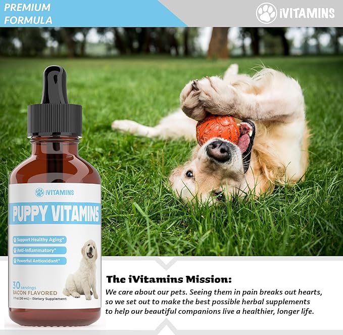 Puppy Vitamins | Puppy Supplements | Puppy Vitamins for Small Dogs | Puppy Vitamins Large Breed | Puppy Multivitamin | Puppy Vitamins and Supplements | Liquid Puppy Vitamins | 1 fl oz: Bacon Flavor