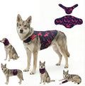 DAJIDALI® Dog & Cat Anxiety Vest & Spay Recovery Suit – Silent Calming Wrap for Surgery, Thunderstorms – Breathable Cone Alternative
