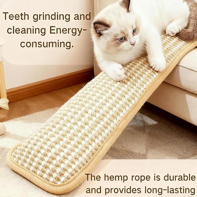 Interactive Catnip Chew Toy 2 Pack Catnip Kicker Soft Sisal Pillow for Cats with 6000mg Organic Catn IP Durable Bite Resistant Kicking Chewing Teething Scratching for Indoor Kitten and Adult Cat (2PC)