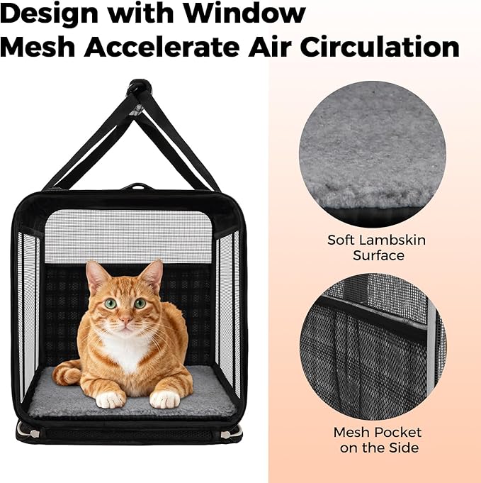 Soft Sided Cat Carrier for Large Cats Up to 20 Lbs, Collapsible Cat Bag Airline Approved with Upgrade Zipper Closures,17 * 12 * 12in Pet Travel Carrier for Small Dogs Puppy or 2 Kittens, Black