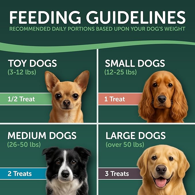Healthfuls Sweet Potato Slices Healthy Dog Treats – Limited Ingredient, Grain Free, Made from Real Dried Sweet Potatoes, 16 oz