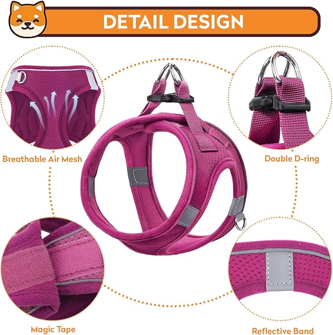 Dog Harness with Leash Set, No-Pull Step-in Reflective Pet Harness with 1 Leash Clips, Adjustable Soft Padded Easy Walk Dog Vest for Small Medium Large Dogs, Cats(Rose Red, XSmall)