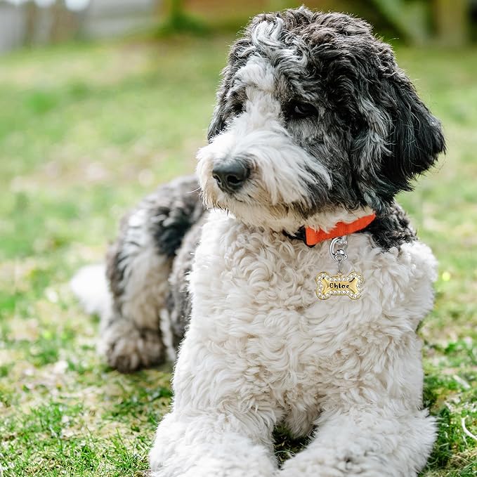 Flip Clip Carabiner Dog Tag Clips - Quick Release Collar Clips for ID Tags, Pet Safety, and Keychains - Small, Secure Carabiner Clips for Dog Collars, Keys, and More
