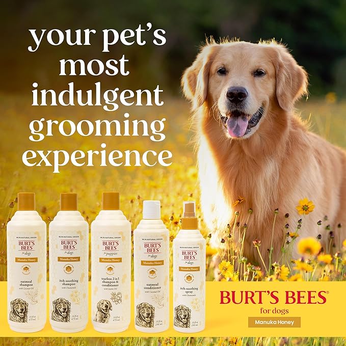 Burt’s Bees Manuka Honey Oatmeal Shampoo for Dogs with Coconut Oil, 16 Fl Oz