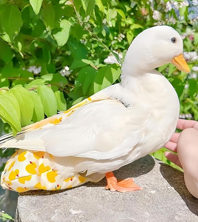 2 Pack Chicken Diapers for Hens, Roosters, Diapers for Ducks, Ducklings, Reusable Pet Diaper with Bow Ties Waterproof Poultry Nappies for Geese Pet Ducks,Pineapple&Yellow Duck,S