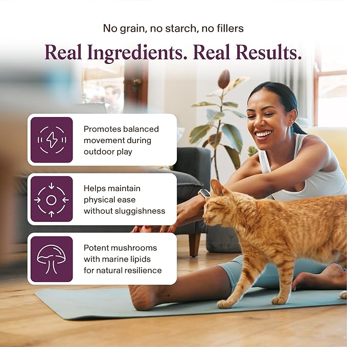 Real Mushrooms Mobility Chews for Dogs & Cats – Green Lipped Mussel & ErgoGold Mushroom Blend – Dogs & Cat Vitamins Treats for Active Routines – Joint, Hip & Flexibility Support – 240 ct Supplement