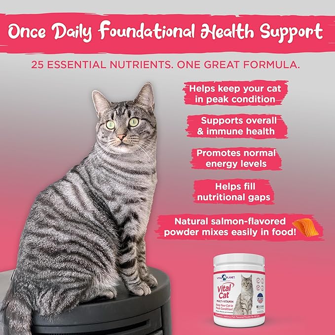 Vital Planet - Vital Cat Multi Vitamin Mineral and Antioxidant Powder for Cats 75 gram 30 Servings