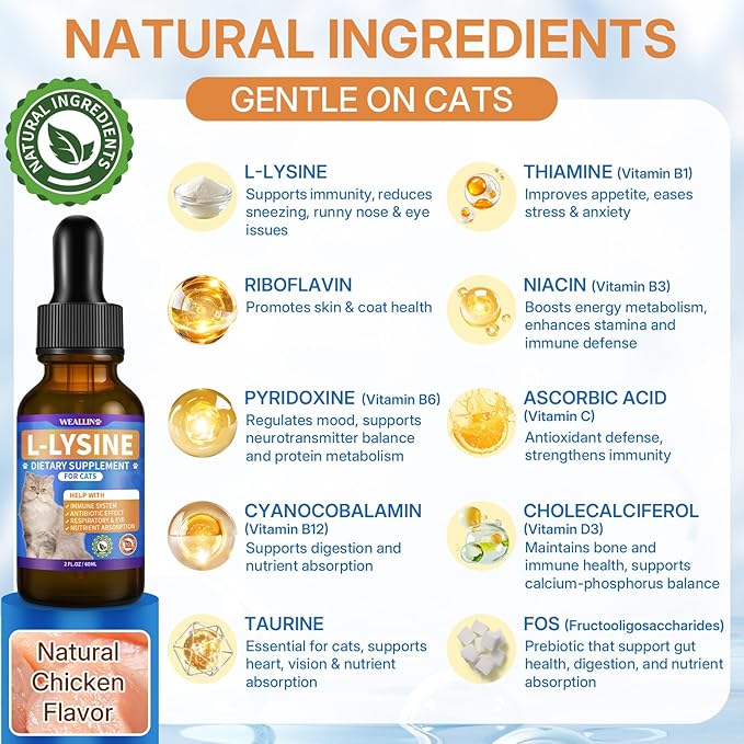 L-lysine Supplement for Cats, Immune Support for Cats, Support for Feline Respiratory, Sneezing, Runny Nose, Eye Function, Helps Strengthen Natural Defenses, Chicken Flavor (1PC)