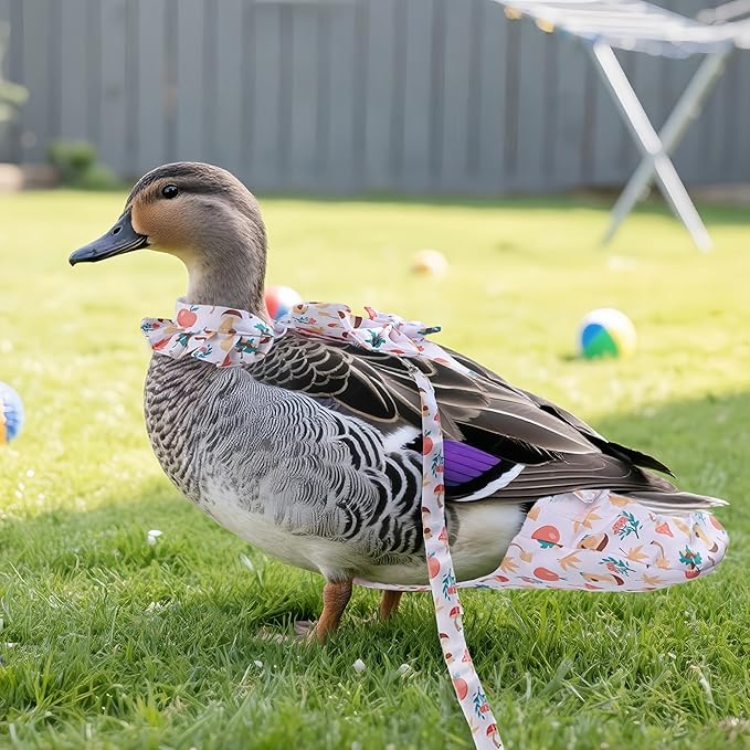 Chicken Diapers for Hens, Roosters, Diapers for Ducks with Walking Leash, Reusable Pet Duck Diapers Chick Clothes Waterproof Poultry Nappies for Geese Pet Ducks Chicken-Mushroom, M