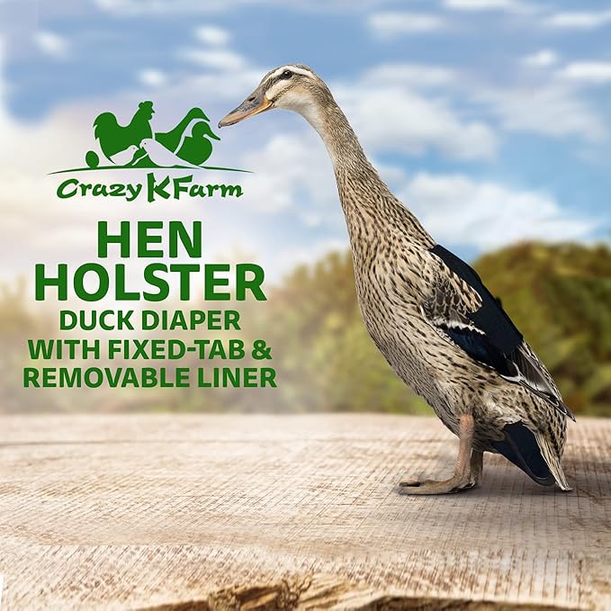 Hen Holster Starter Kit - Wrap-Around Runner Duck Diaper w/ Removable Liner & Fixed Tab - Durable, Secure Fit, Easy-to-Wear - Essential Duck Supplies for Real Ducks, Made in USA - Black