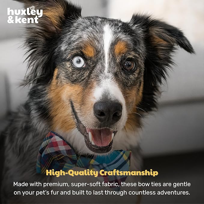Huxley & Kent Pet Bow Tie for Dogs & Cats - Adjustable Hook & Loop Collar Accessory - Cute & Comfortable for Holidays & Celebrations - Blue Madras, Small