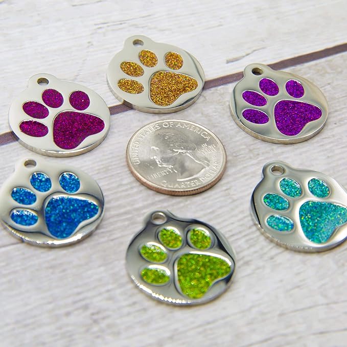 PetANTastic Engraved Cat Tags - Personalized with 4 Lines of Custom Engraved ID, Round Paw Print Stainless Steel Enameled in 6 Colors: Ocean Blue, Aquamarine, Deep Pink, Magenta, Pale Green, Amber