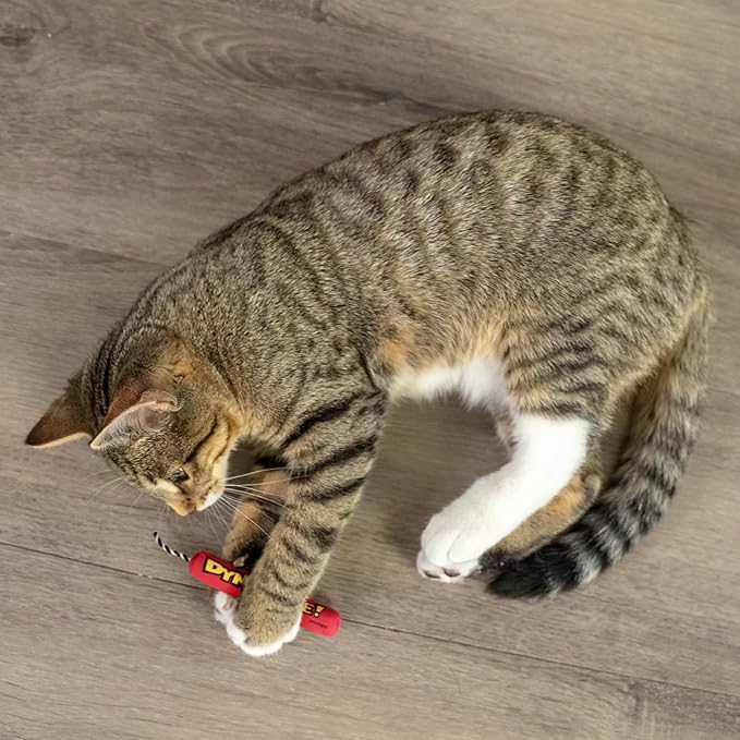 Catstages Green Magic Dynamite Stick Catnip Cat Toy (Pack of 2)