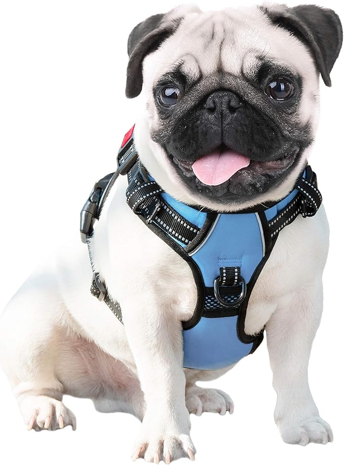 PHOEPET No Pull Dog Harness 3M Reflective Adjustable Vest with a Training Handle, Name ID Pocket, 2 Metal Leash Hooks, 3 Snap Buckles [Easy to Put on & Take Off](L, Baby Blue)