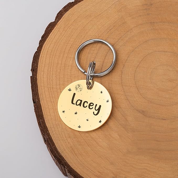 Anavia Small Size Dog Cat ID Tags, Small/XS Personalized Color Plated Stainless Steel Puppy Kitten Name Tags, Customized Engraved Nameplate Pet Collar Tag (Blue, Round)