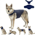 DAJIDALI® Dog & Cat Anxiety Vest & Spay Recovery Suit – Silent Calming Wrap for Surgery, Thunderstorms – Breathable Cone Alternative