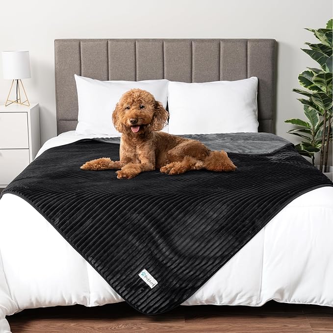 PetAmi Waterproof Dog Blanket, Leakproof Pet Blanket for Small Medium Large Dogs, Reversible Furniture Bed Sofa Couch Cover Protector, Plush Striped Pet Throw for Indoor Cat, 60x80 in, Black Grey