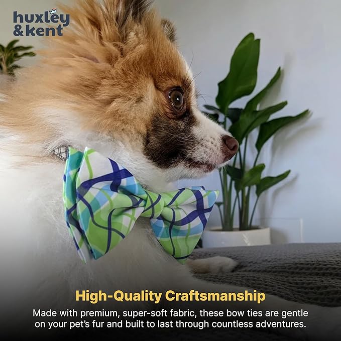 Huxley & Kent Pet Bow Tie for Dogs & Cats - Adjustable Hook & Loop Collar Accessory - Cute & Comfortable for Holidays & Celebrations - Lime Madras, Large