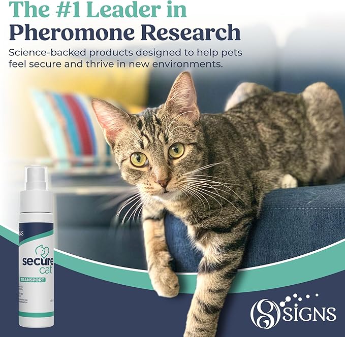 SIGNS SecureCat Transport, Water Based Calming Travel Spray, Naturally Supports Calm and Well-Being, Naturally Relieving Anxiety and Stress