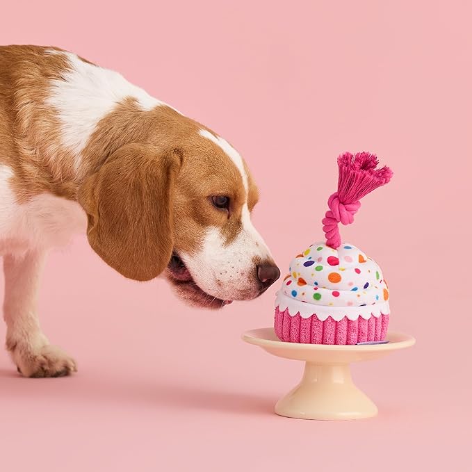 LE SURE Dog Birthday Cake Toy - Cute Dog Birthday Cake Squeaky Toy with Interactive Tug Rope, Interactive Chew Toy for Puppy Birthdays Party & Daily Play, XSmall, Pink